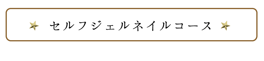 ジェルスカルプチュアコース